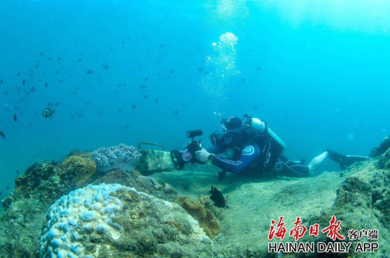 救援受困的小野猫